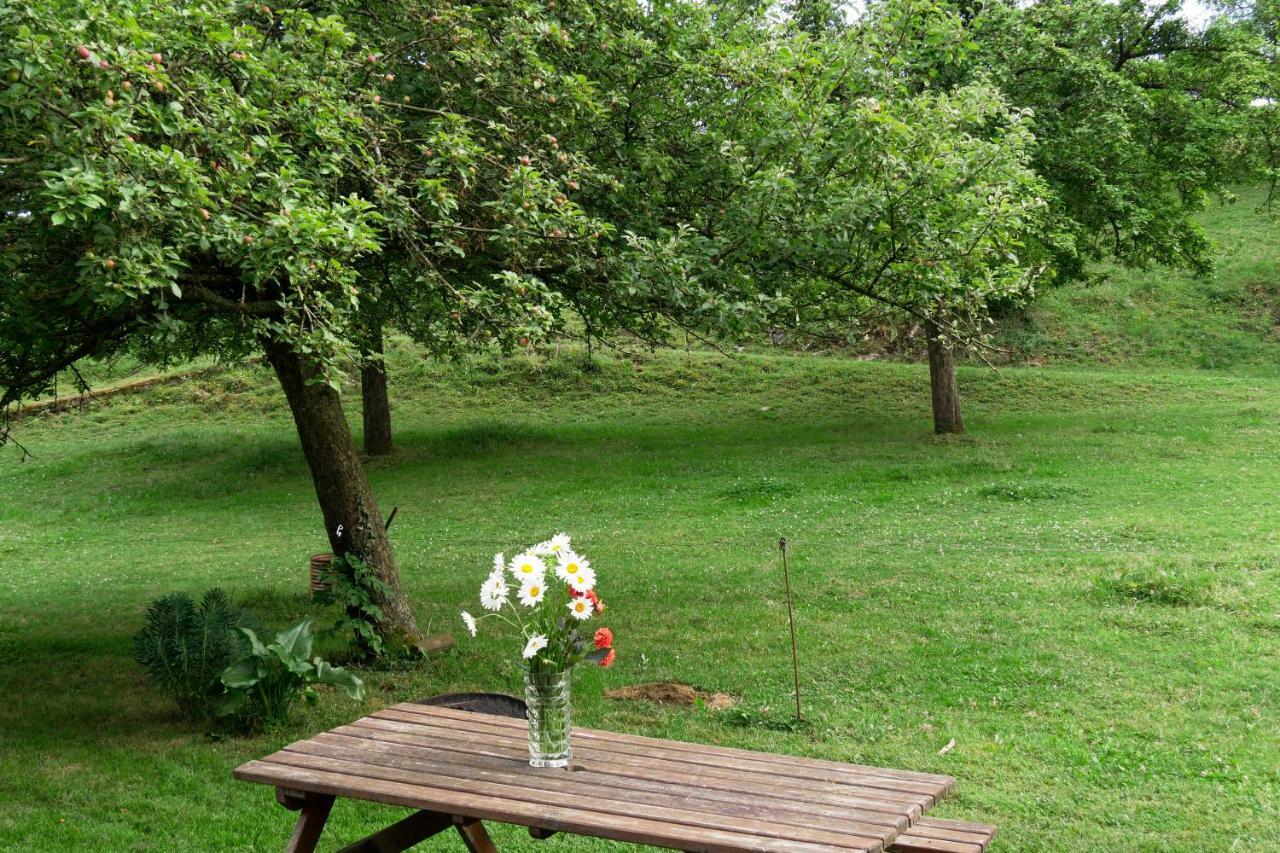 La Petite Maison O Bord De L'Eau Bernieres-le-Patry Kültér fotó