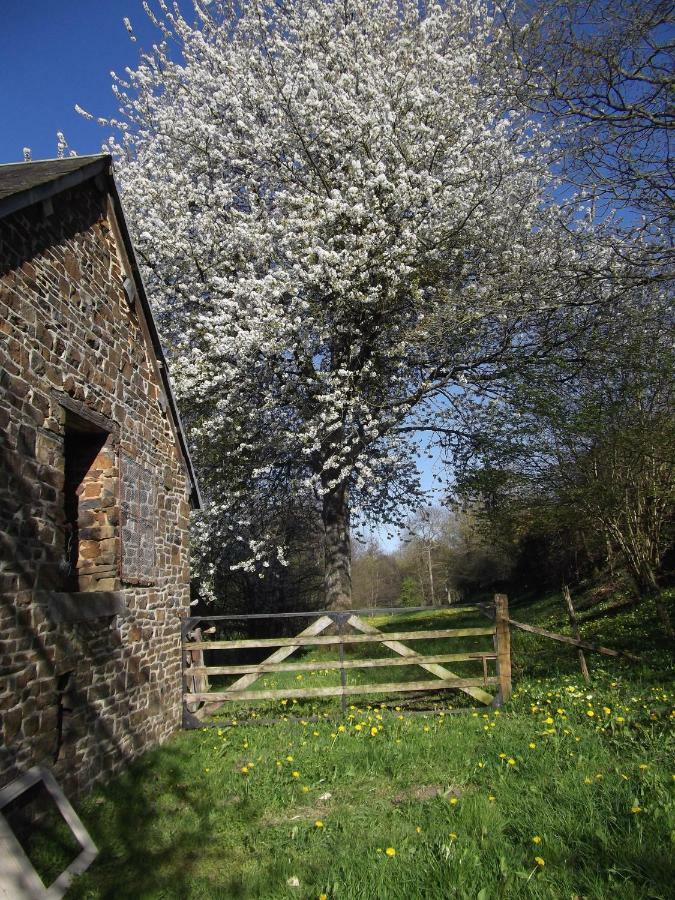 La Petite Maison O Bord De L'Eau Bernieres-le-Patry Kültér fotó